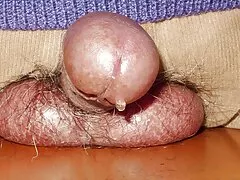 ベラドンナとジャスティン 女性 用 セックス 動画